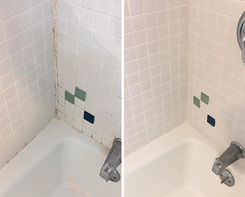 Shower Before and After Our Petersburg Tile and Grout Cleaners Work