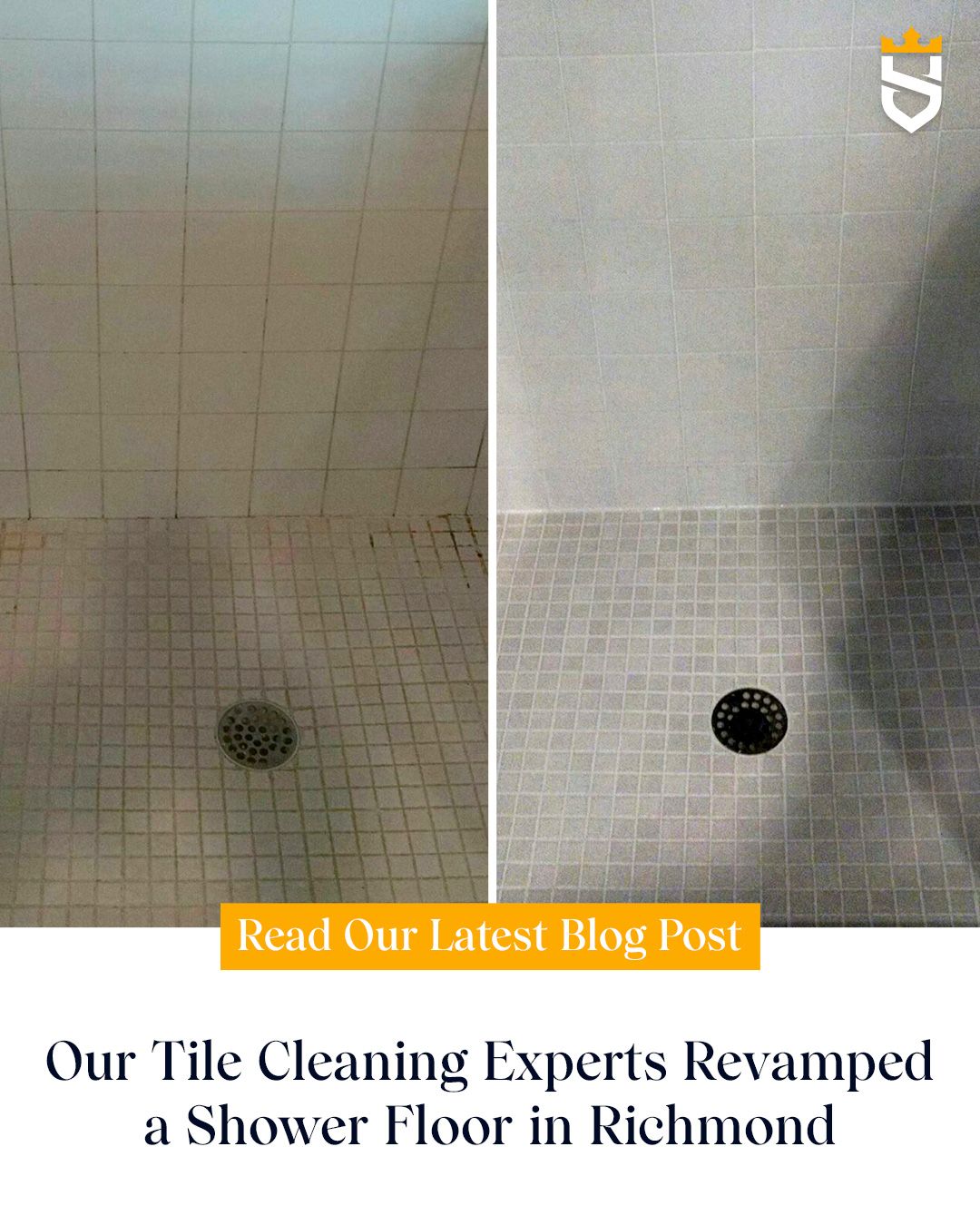 Our Tile Cleaning Experts Revamped a Shower Floor in Richmond